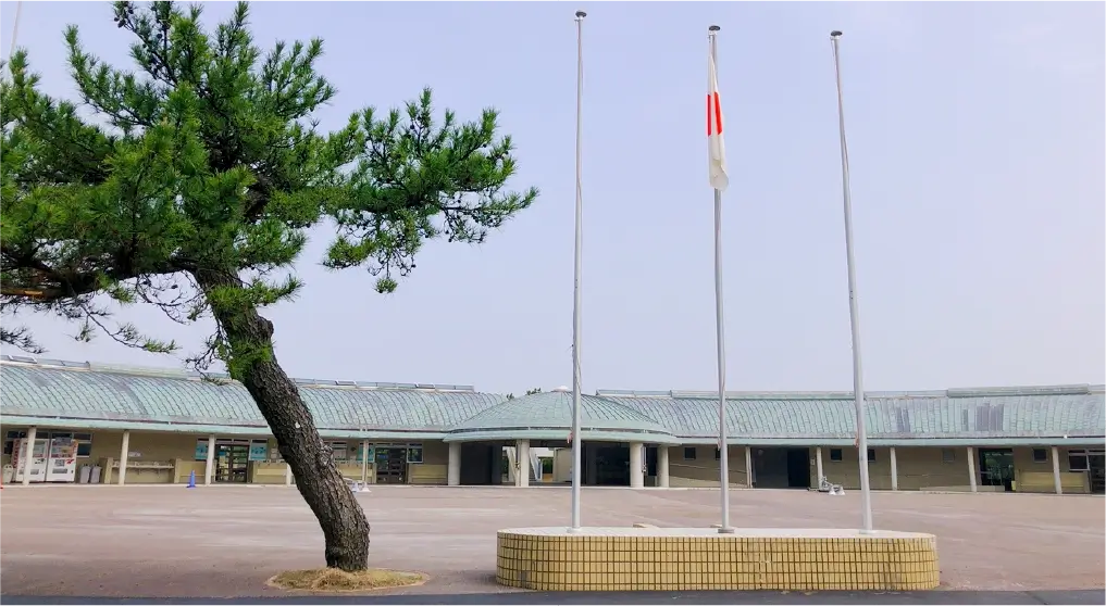 海の中道海浜公園 画像