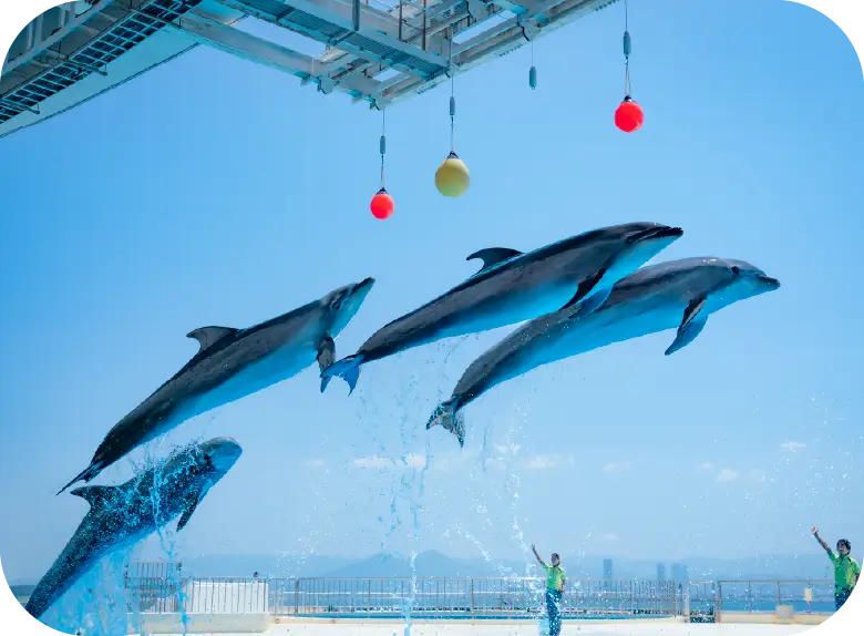 マリンワールド海の中道 画像02