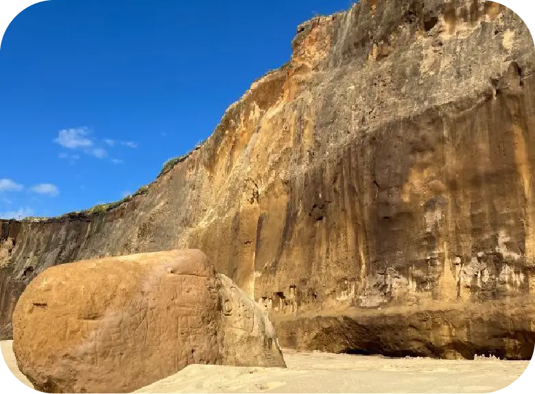 奈多海岸 画像01